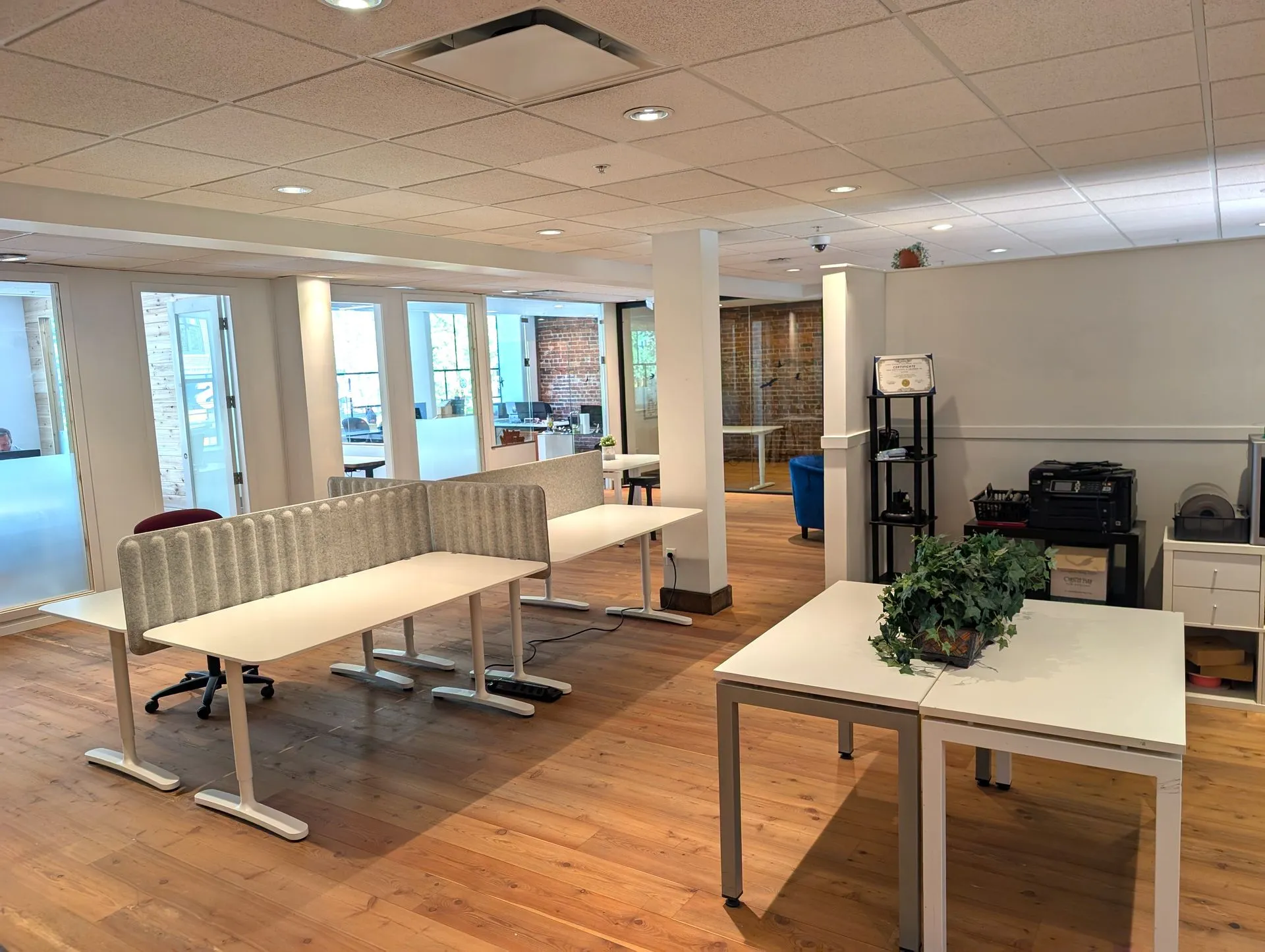 Co-working - Dedicated Desk (monthly)